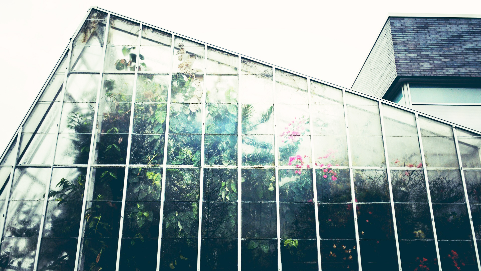 New Tech Hydroponics and Fish Farming